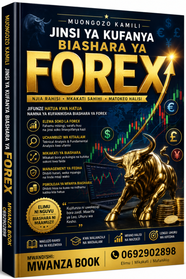 JINSI YA KUFANIKIWA KWENYE FOREX KWA HARAKA