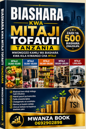MUONGOZO WA BIASHARA NZURI YA KUANZISHA TANZANIA KULINGANA NA MTAJI WAKO